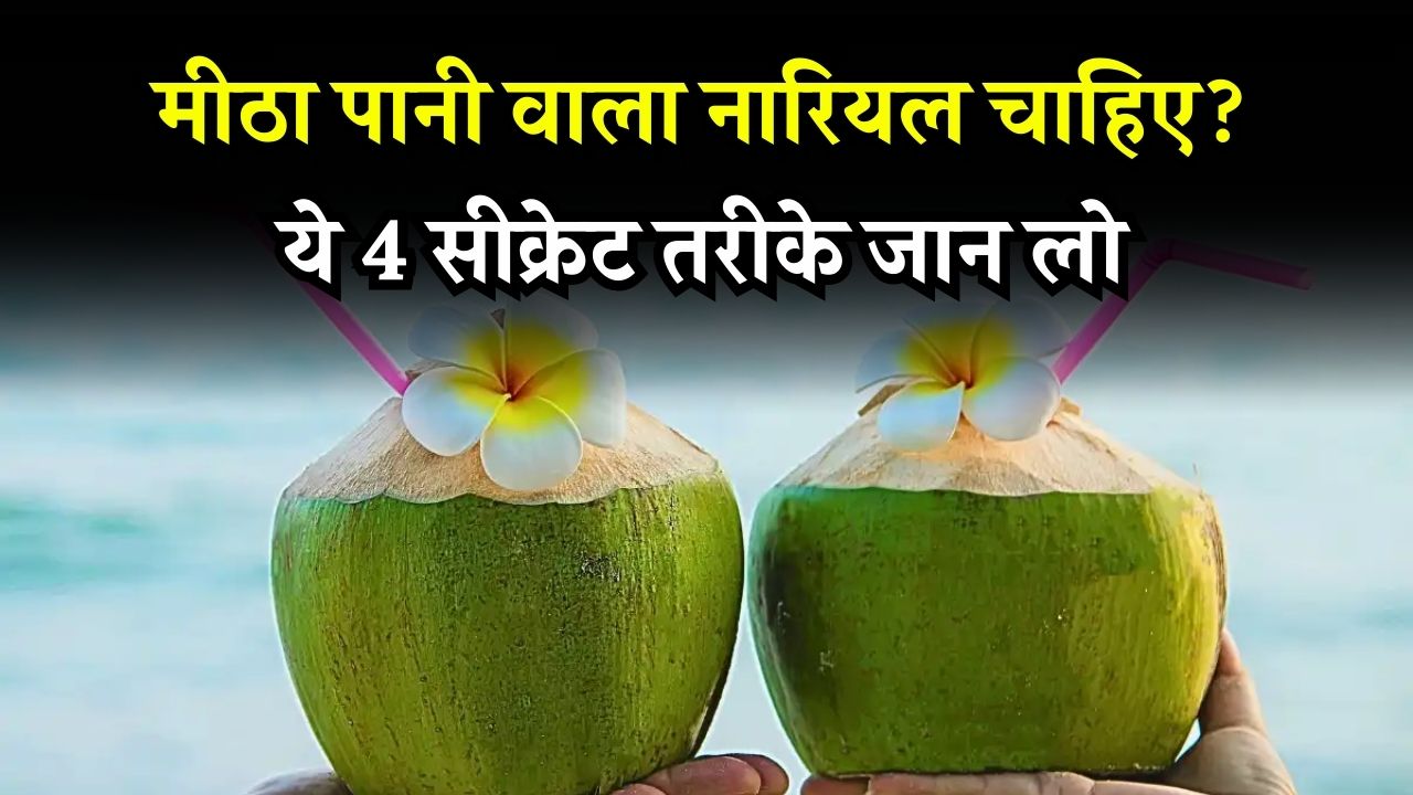 Identify Good Coconuts: पानी से भरे नारियल की पहचान के 4 आसान तरीके, ठेले वाला नहीं बताएगा ये ट्रिक्स