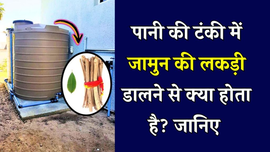 पानी की टंकी में जामुन की लकड़ी डालने के क्या फायदे होते हैं जानें Jamun Wood in Water Tank 1 पानी की टंकी में जामुन की लकड़ी डालने के क्या फायदे होते हैं जानें Jamun Wood in Water Tank