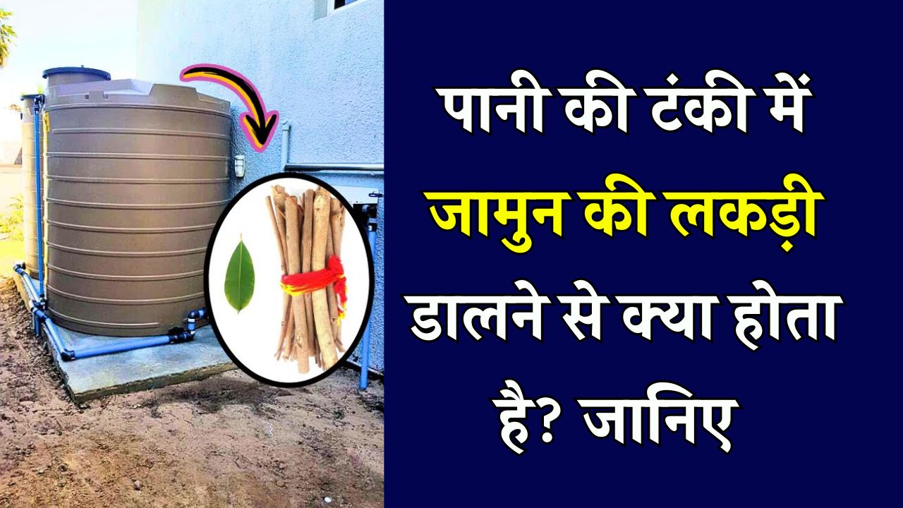 पानी की टंकी में जामुन की लकड़ी डालने के क्या फायदे होते हैं जानें Jamun Wood in Water Tank