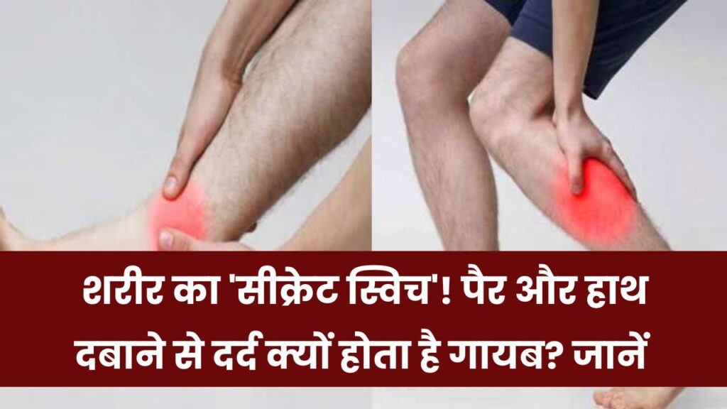 Pain Relief Science: पैर और हाथ दबाने से मिनटों में क्यों दूर हो जाता है दर्द? जानिए इसका वैज्ञानिक कारण 1 Pain Relief Science: पैर और हाथ दबाने से मिनटों में क्यों दूर हो जाता है दर्द? जानिए इसका वैज्ञानिक कारण