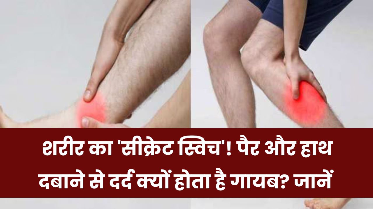 Pain Relief Science: पैर और हाथ दबाने से मिनटों में क्यों दूर हो जाता है दर्द? जानिए इसका वैज्ञानिक कारण